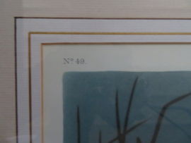 VERKOCHT Originele lithografie / steendruk Snowy Heron - John James Audubon - 92 x 79 cm