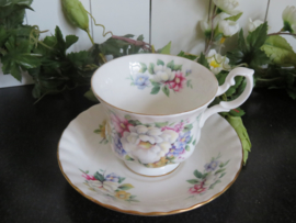 VERKOCHT Heren kop en schotel Royal Albert, Summertime Series, Sherborne
