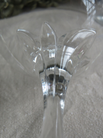 Kristallen champagne coupes - set van 6