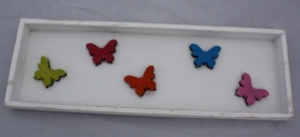 Lijst vlinders