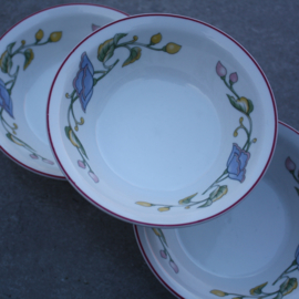 Set schaaltjes Colditz