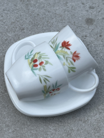 Kleine kopjes Arcopal France