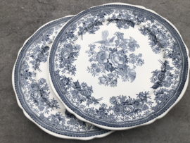 Wandborden  Villeroy & Boch Fasan blauw-grijs