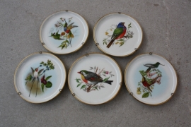 Set wandbordjes of onderzetters vogels