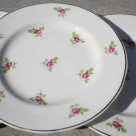 Gebaksbordjes  Mayfair pottery roze roosjes