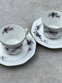 Winterling koffiekopjes viooltjes paars-groen