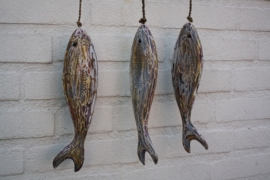 Vissen aan hanger