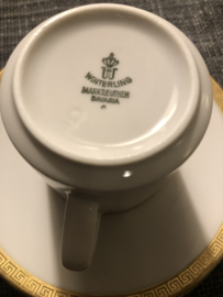 Kopjes Winterling voor DE wit-goud