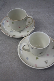 Koffiekopje pastel Schönwald