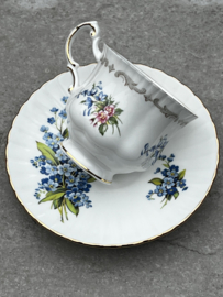 Koffiekopje Engels porselein Royal Adderley