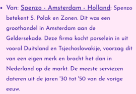 Prachtige vintage theekop Spenzo