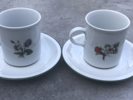 2 kopjes Winterling Röslau fruit