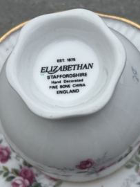 Kopje Elizabethan Staffordshire DE roze roos
