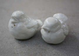 Peper- en zoutstel vogels