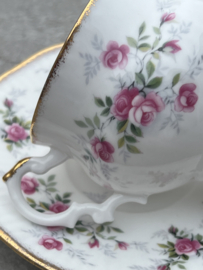 Kopje Elizabethan Staffordshire DE roze roos