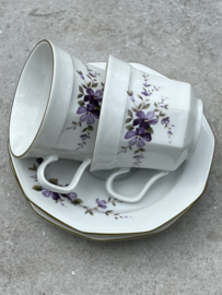 Winterling koffiekopjes viooltjes paars-groen