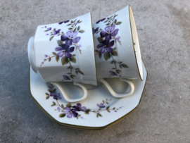 Koffiekopje paarse viooltjes
