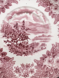 English Ironstone theekopjes landschap roze-rood