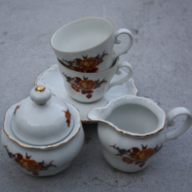 Servies Seltmann Weiden  oranje-goud