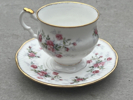 Kopje Elizabethan Staffordshire DE roze roos