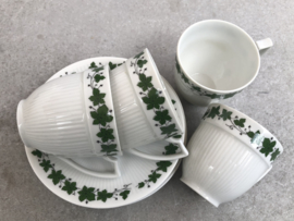 Koffiekopjes klimop Mitterteich