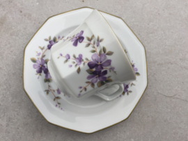 Koffiekopje viooltjes Winterling