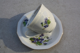 Kopje viooltjes Winterling