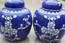 Blauwe "chinese" potten