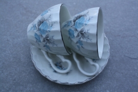 Kleine Engelse kopjes Johnson Brothers
