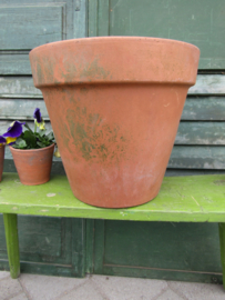 Terracottapot met brede rand