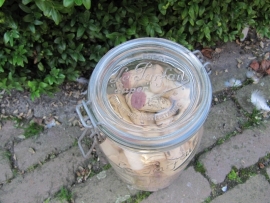 Brocante glazen inmaak potten van Le Parfait