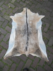 Grote dierenhuid bruin met wit