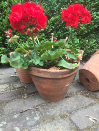 Antieke terracotta pot