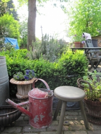 Brocante around old milk stool