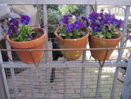 Nice old plant rack