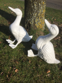 Oude gietijzeren eend