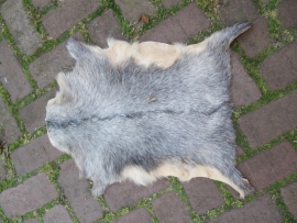 Mooi formaat dierenhuid grijs