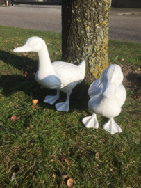 Oude gietijzeren eend