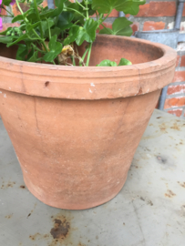 Antieke terracotta pot groot
