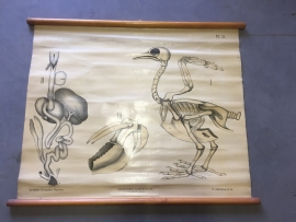 Oude schoolplaat op linnen