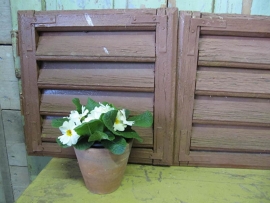 Old set small shutters in ocher yellow