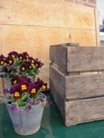 French old brocante wooden box