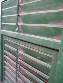 Breed luikenset in groen