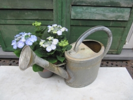 French brocante super robust zinc watering can