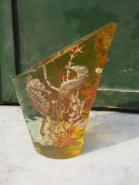 Seahorses and stars in glass