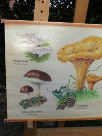 Old poster