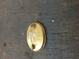 Oude broche met steentjes