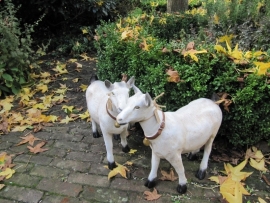 Brocante geitje van polyester