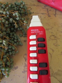 Melodica-alto instrument