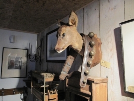 Bellenband